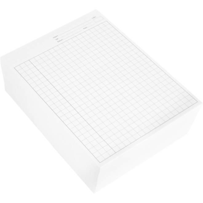 Examenpapier dubbel A4, ruit 10 mm, 1000 vel